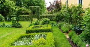 How to Maintain a Beautiful Lawn Year-Round?