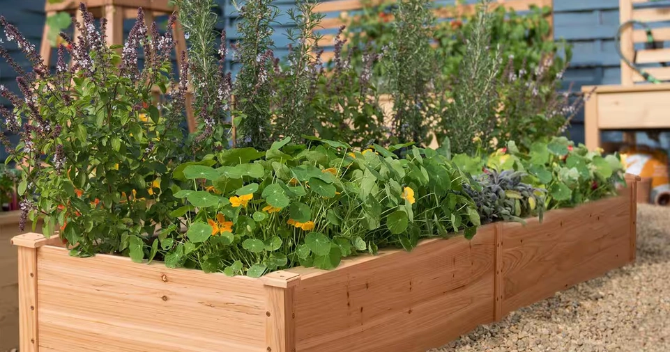 Step-by-Step Guide to Building a Raised Garden Bed
