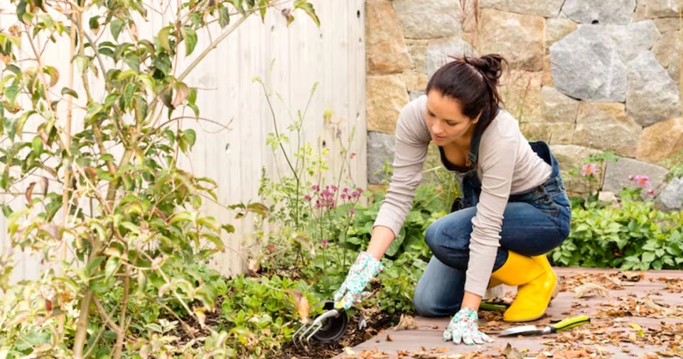 Best Plants for Different Climates