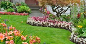 DesignMode24 Garden Tips