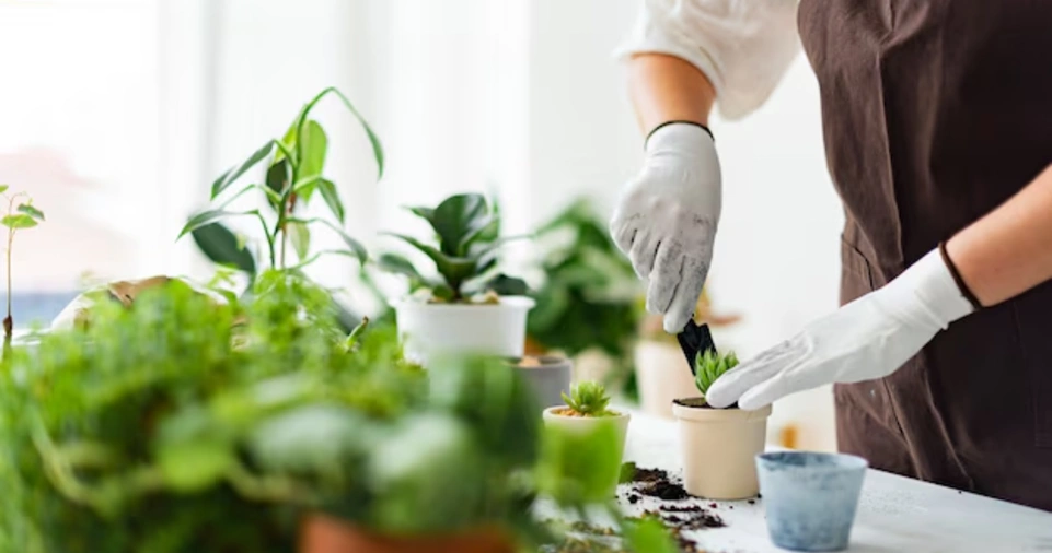 Know the Plant's Natural Habitat